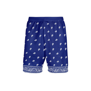 ETRO paisley Shorts