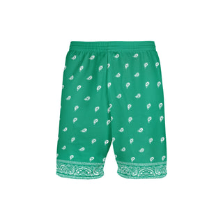 ETRO Green Shorts